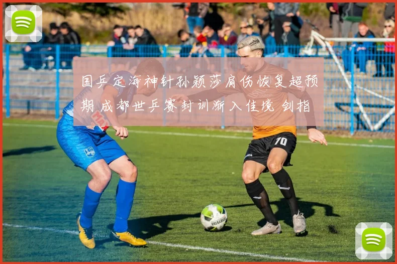 国乒定海神针孙颖莎肩伤恢复超预期 成都世乒赛封训渐入佳境 剑指卫冕信心足